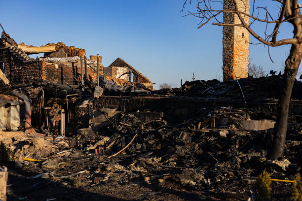 Reliable Content Restoration contractor in The Colony, TX by Fire Damage Doption